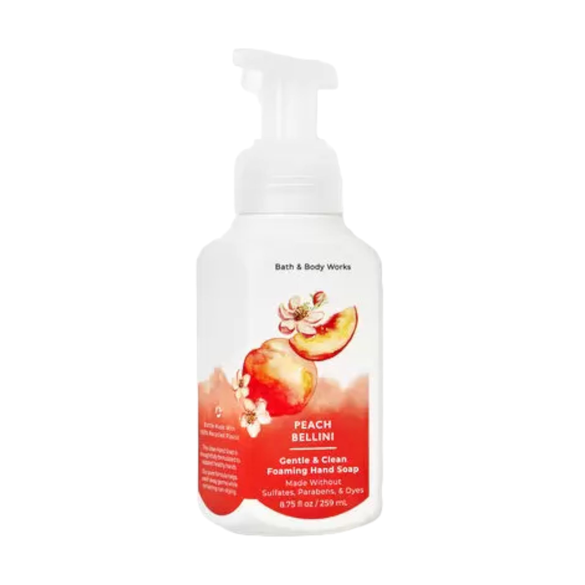 Amazon.com : Bath and Body Works Gentle Foaming Hand Soap 8.75